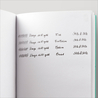 Eboya Tan-Pen Penna Stilografica Light Blue Eboya Tan-Pen Penna Stilografica Light Blue