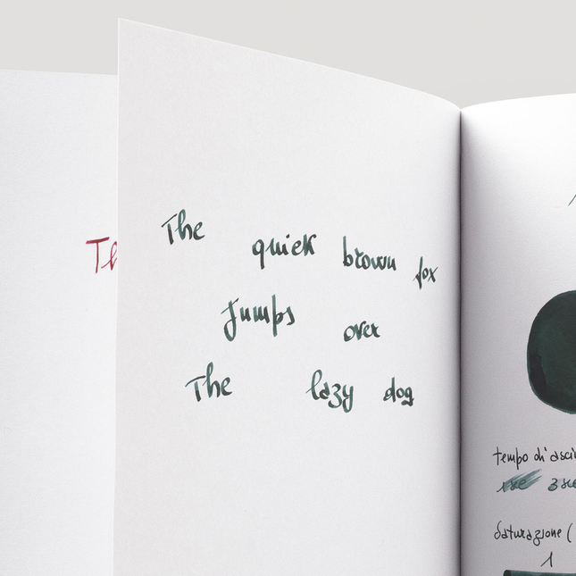 Diamine 150th Anniversary Dark Forest Inchiostro 40 ml