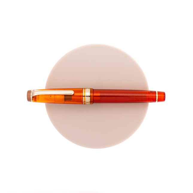 Sailor Progear Tea Time Fountain Pen Christmas Spice Tea Special Edition