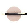 Sailor King of Pen Ebanite Penna Stilografica Nera & Oro