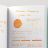 Diamine Shimmering Citrus Ice Inchiostro 50 ml