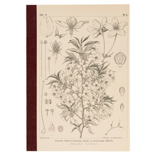 Hobonichi Plain Notebook A5 Yamazakura Grid