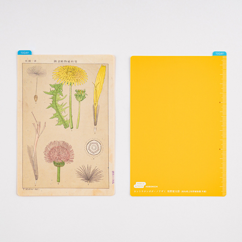 Hobonichi Pencil Board for Original A6 Tomitaro Makino