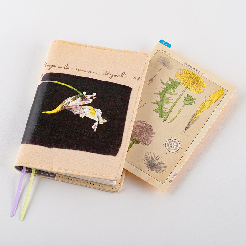 Hobonichi Pencil Board for Original/A6 Dashenka [4580541440399]