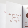 Diamine Shimmering Cocoa Shimmer Inchiostro 50 ml