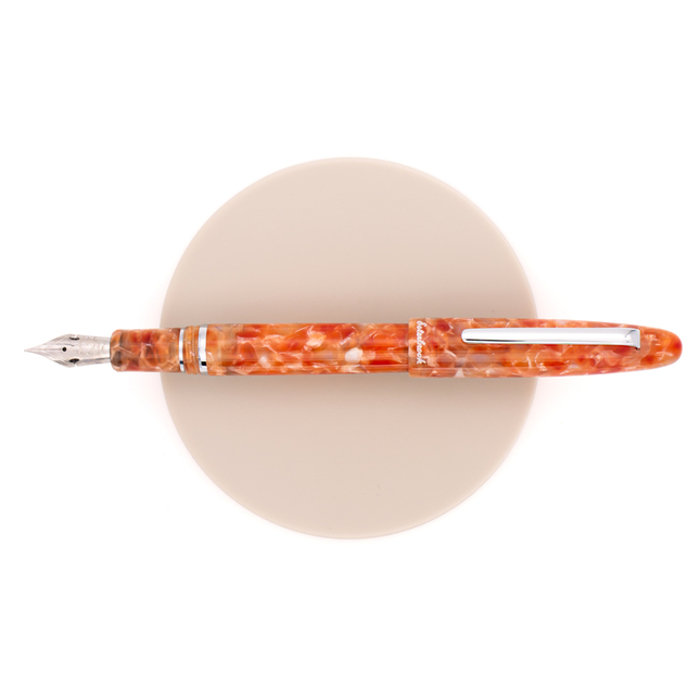 Esterbrook Estie Penna Stilografica Petrified Forest & Rodio Edizione Limitata