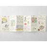 Traveler's Notebook Refill 032 Regular Size Accordion Fold Paper