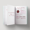 Diamine Shimmering Wine Divine Inchiostro 50 ml