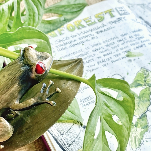 Esterbrook Tree Frog Clip