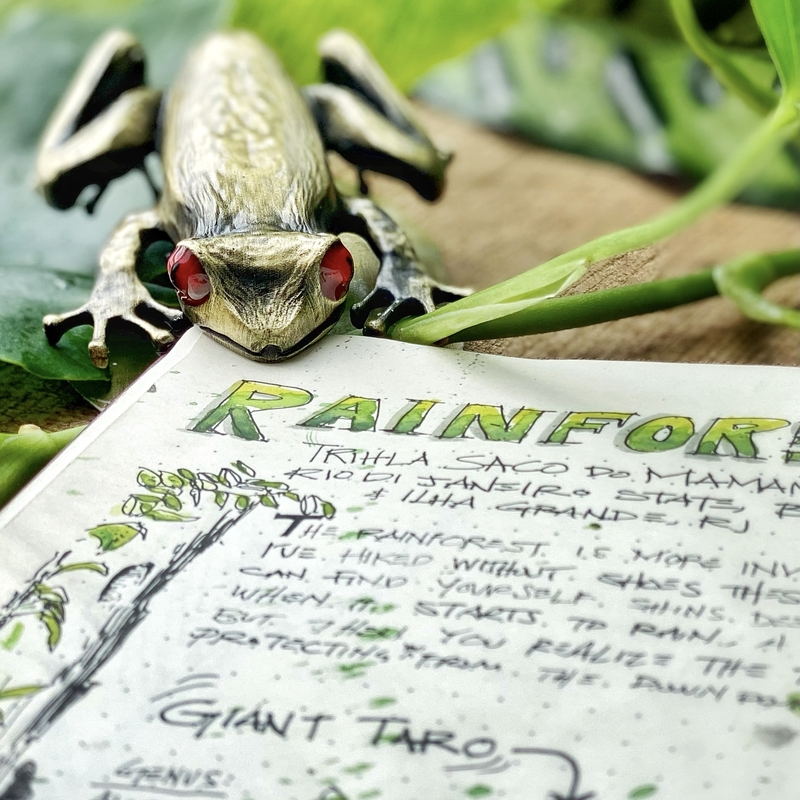 Esterbrook Tree Frog Clip