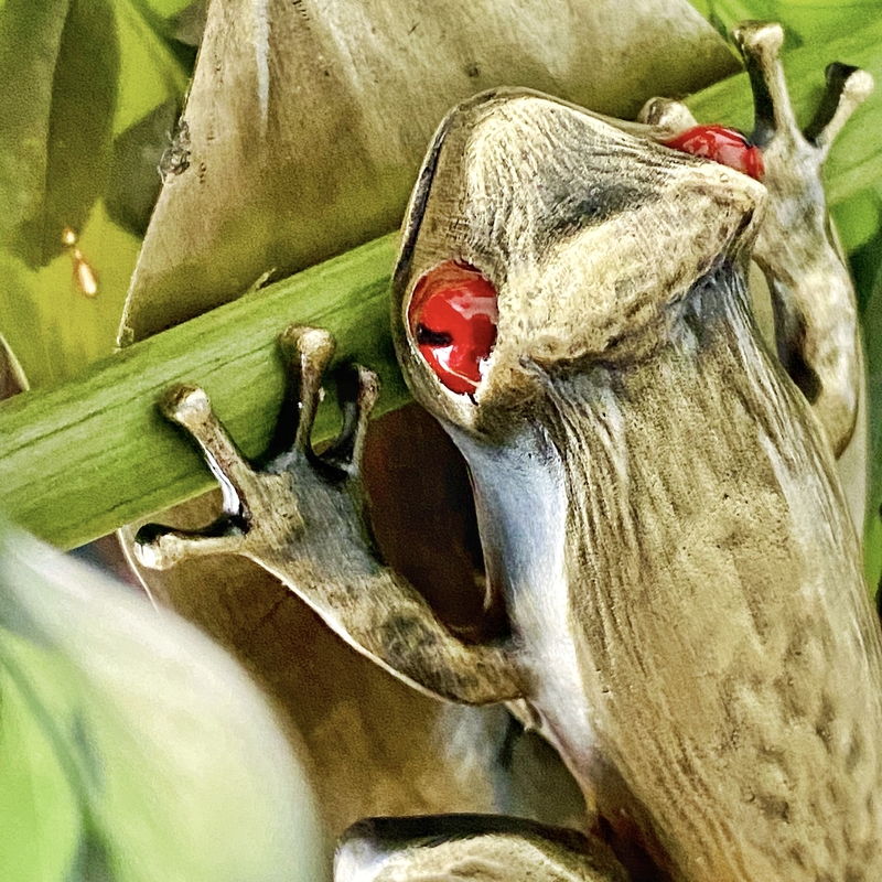 Esterbrook Tree Frog Clip