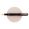 Delta Write Balance Fountain Pen Black & Gold Delta Write Balance Fountain Pen Black & Gold
