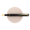 Delta Write Balance Fountain Pen Green & Gold Delta Write Balance Fountain Pen Green & Gold