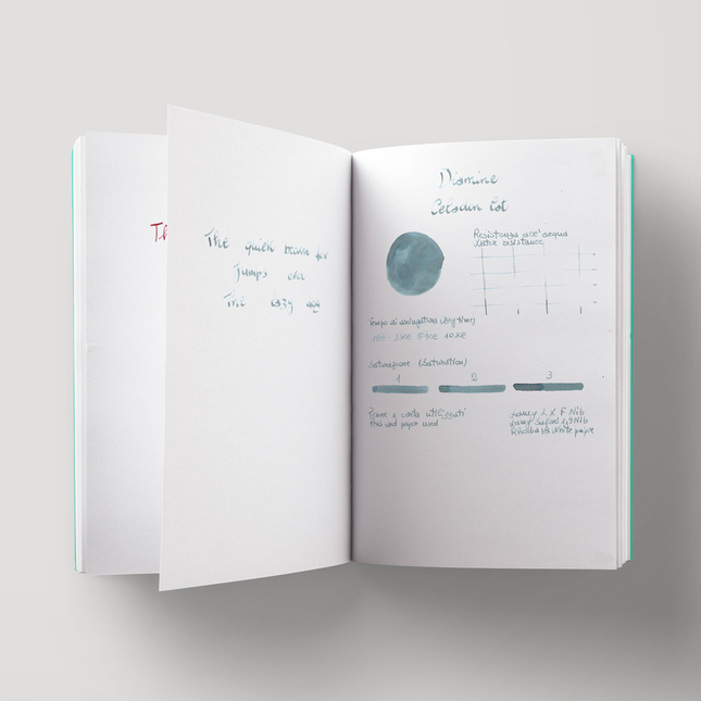 Diamine Celadon Cat Inchiostro 80 ml