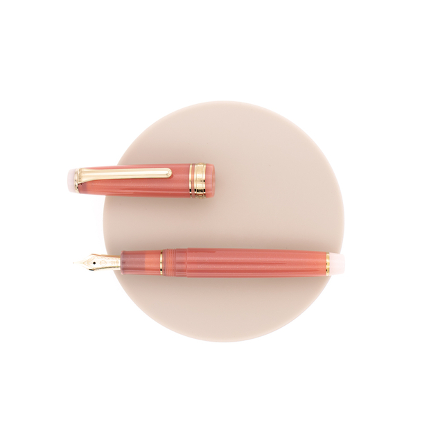 Sailor Professional Gear Slim Solar Term Penna Stilografica Tako Edizione Limitata