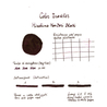 Color Traveler Hiroshima Hon-Dori Black Ink Bottle 30 ml