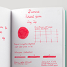 Diamine Inkvent Cosy Up Inchiostro 50 ml Green Edition