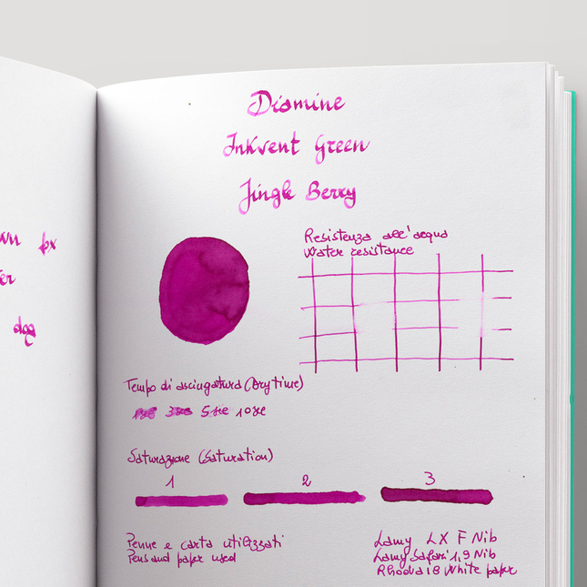 Diamine Inkvent Jingle Berry Ink Bottle 50 ml Green Edition