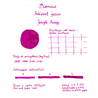 Diamine Inkvent Jingle Berry Ink Bottle 50 ml Green Edition