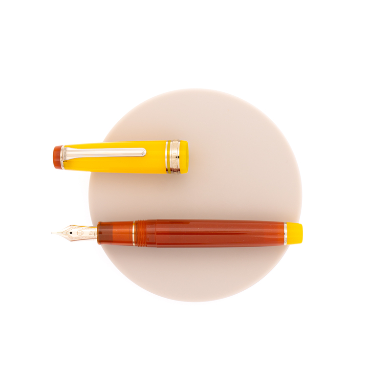 Sailor Professional Gear Fountain Pen Moonlight Over the Ocean Special