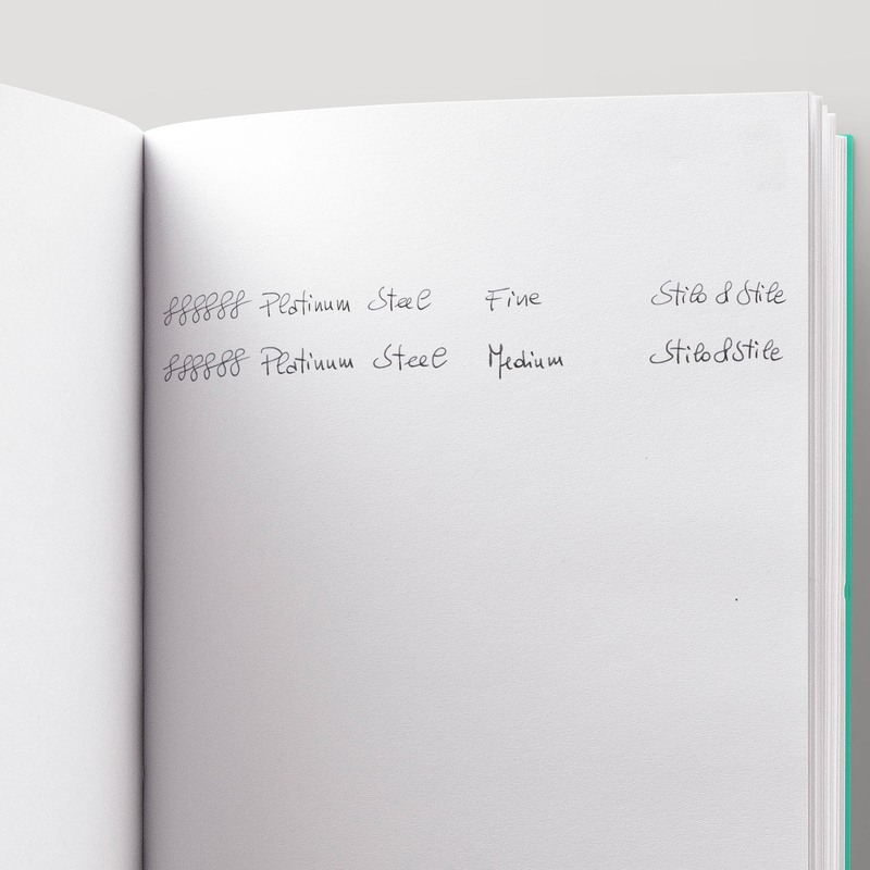 Platinum Platinum Procyon Luster Modern Maki-e Penna Stilografica Nishikigoi