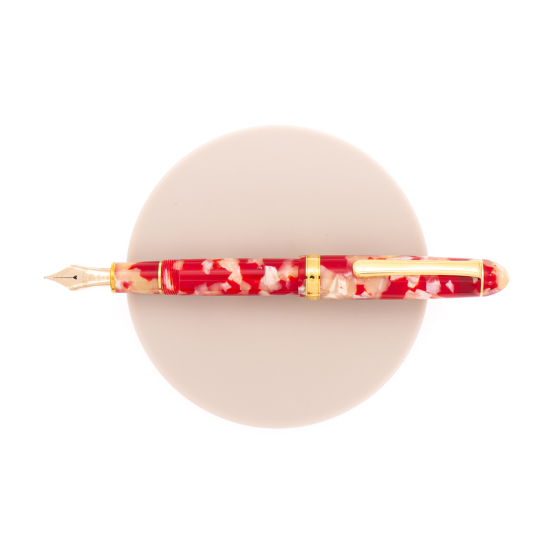 Platinum Platinum 3776 Century Celluloid Penna Stilografica Koi