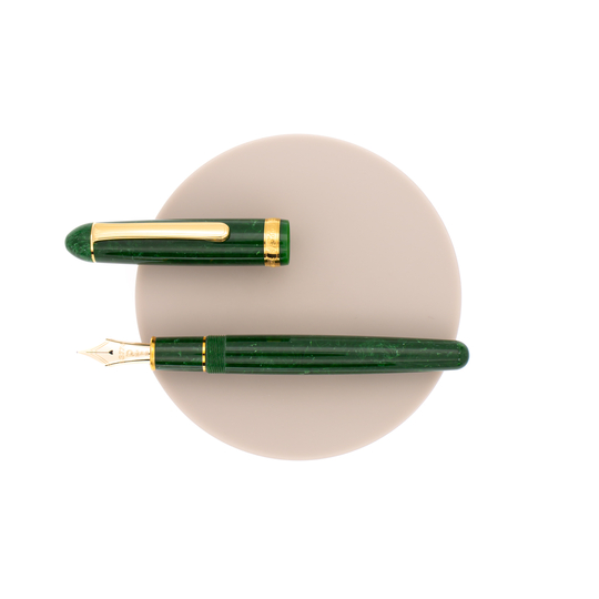 Platinum 3776 Century Celluloid Penna Stilografica Jade