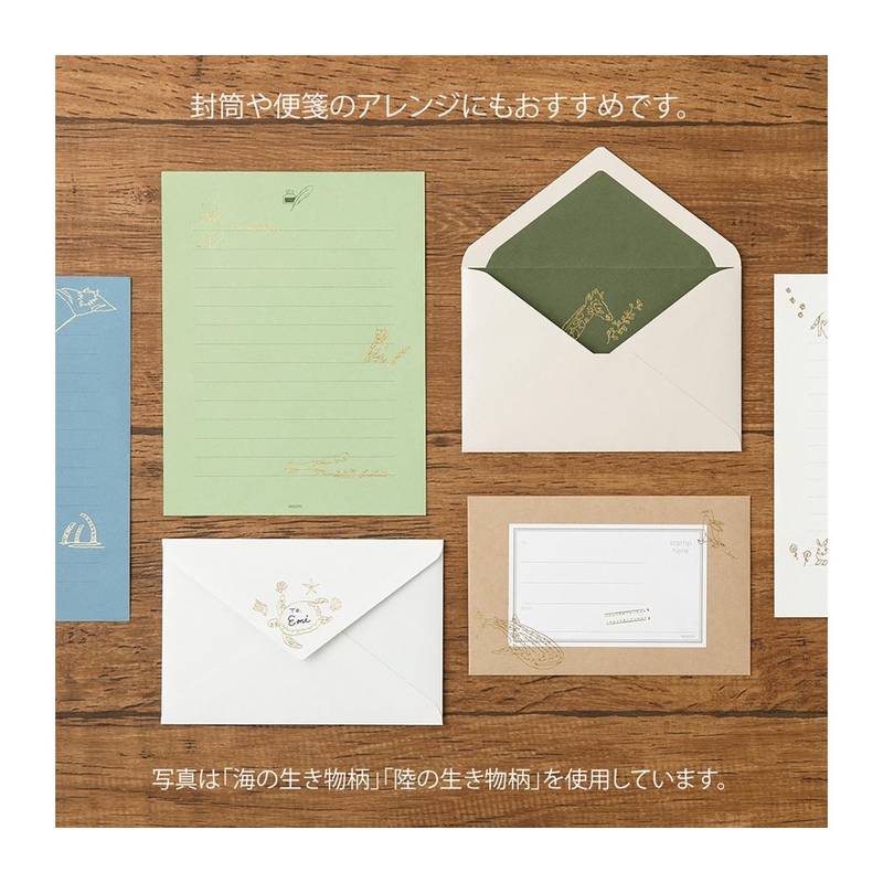 Midori Midori Foil Transfer Sticker Adesivi Dorati Caffè