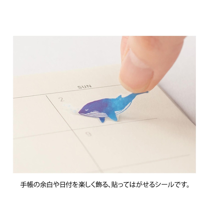 Midori Midori Color Sticker Blue