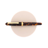 Platinum Platinum 3776 Century Celluloid Penna Stilografica Tortoise