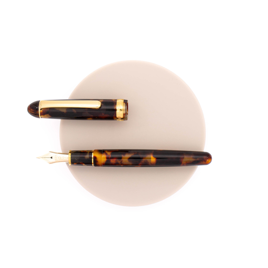 Platinum 3776 Century Celluloid Penna Stilografica Tortoise