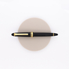 Sailor 1911 Standard Penna Stilografica Nera