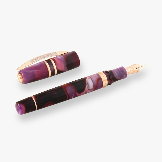 Visconti Homo Sapiens Fountain Pen Iris Garden Limited Edition