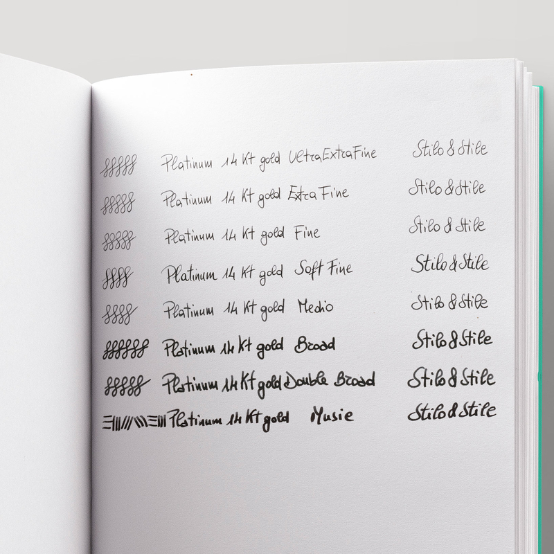 Platinum Platinum 3776 Century Fuji Unkei Fountain Pen Kasumi Limited Edition