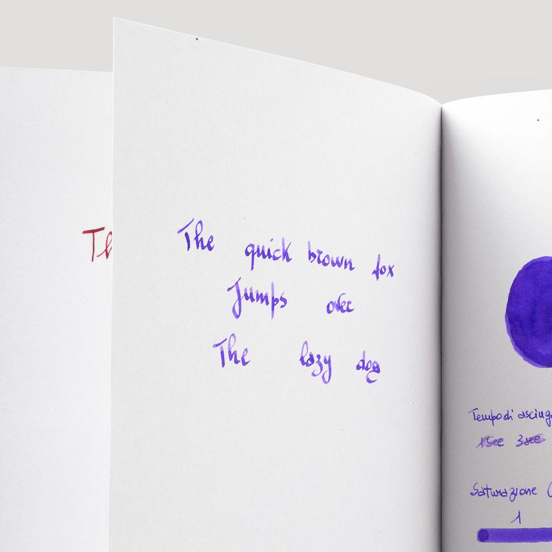 Diamine Diamine Inkvent Rainbows End Ink Bottle 50 ml Purple Edition Chameleon