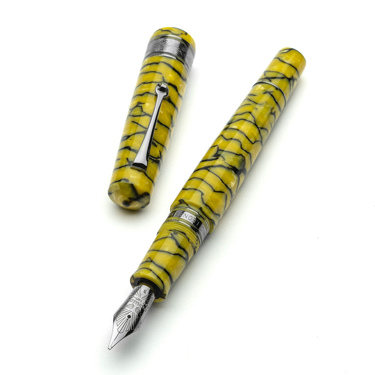 Leonardo Cinquantesimo Fountain Pen Rediscover & Ruthenium Limited Edition