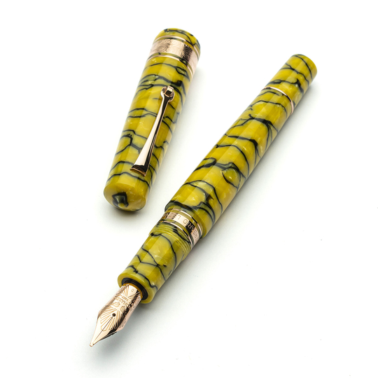 Leonardo Cinquantesimo Penna Stilografica Rediscover & Oro Rosa Edizione Limitata