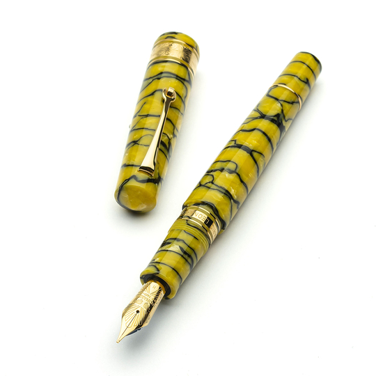 Leonardo Cinquantesimo Penna Stilografica Rediscover & Oro Edizione Limitata