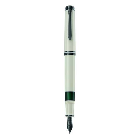 Pelikan Souveran M670 Penna Stilografica Warm Grey Edizione Speciale