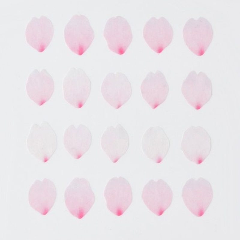 Bande Bande Washi Tape Cherry Blossom Petal