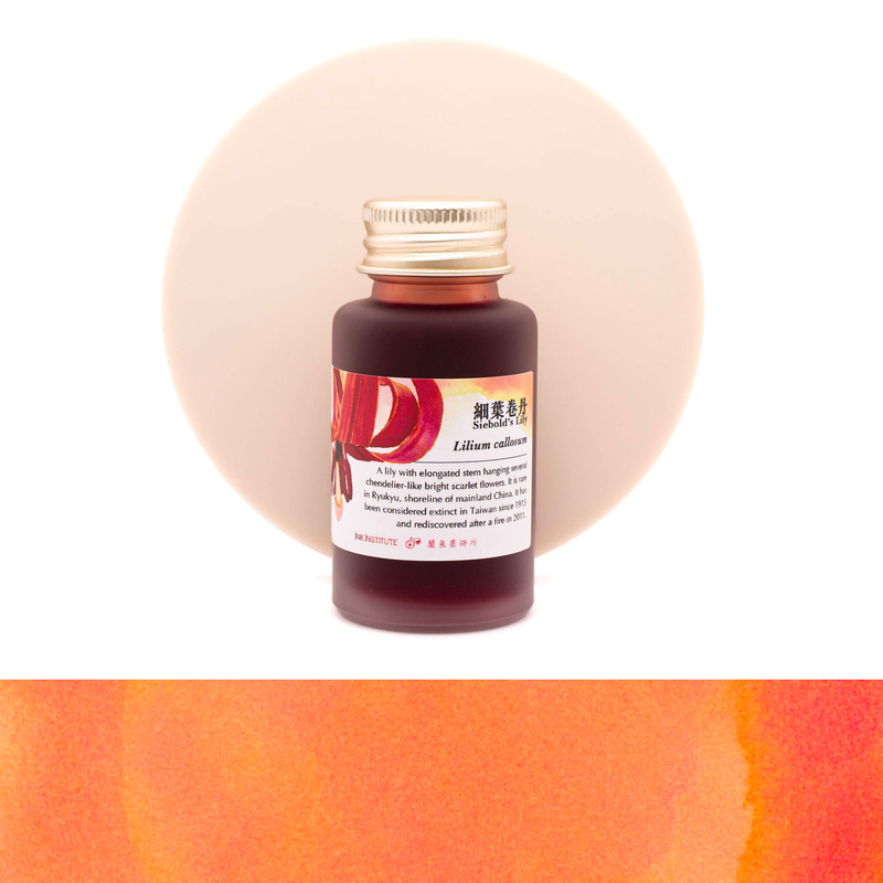 Ink Institute Ink Institute Meander Series Siebold's Lily Inchiostro 30 ml