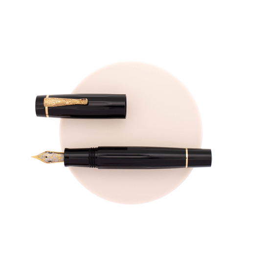 Delta Bio+16 Fountain Pen Black No. 8 Nib 14k