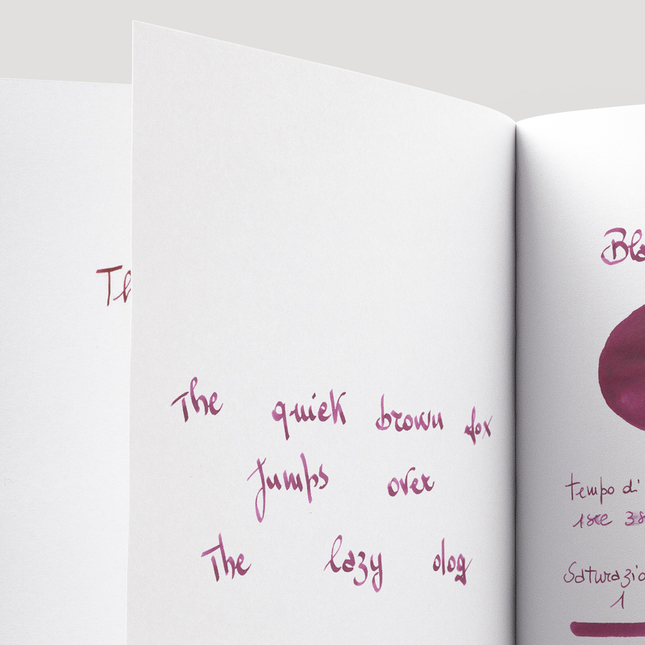 Noodler's Black Swan In Australian Rose Inchiostro 3 oz