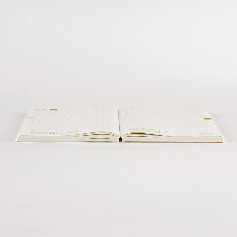 Hobonichi Hobonichi Techo Cousin Book A5 2025 Spring