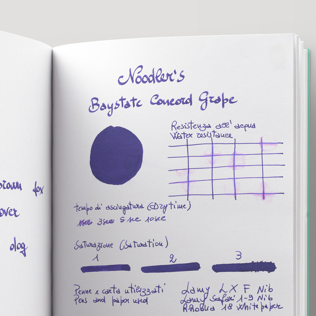 Noodler's Baystate Concord Grape Ink Bottle 3 oz