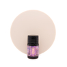 Ferris Wheel Press Ferris Wheel Press Mulberry Majesty Ink Bottle 10 ml