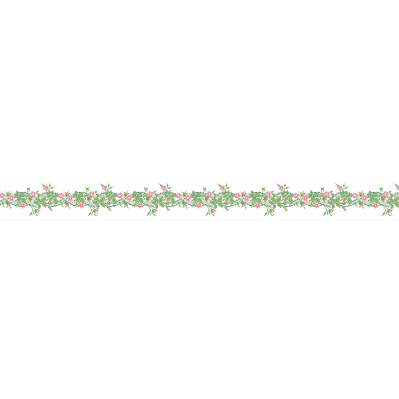 MT Masking Tape MT x Morris&Co. Washi Tape Rambler