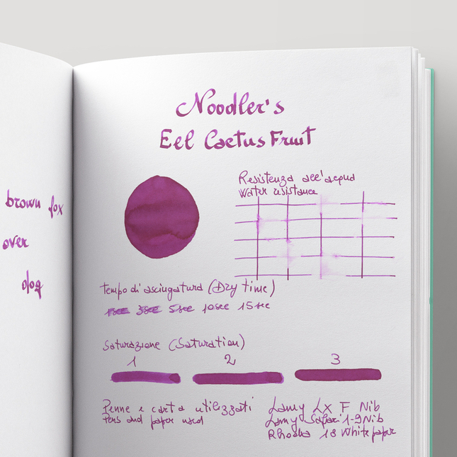 Noodler's Eel Cactus Fruit Ink Bottle 3 oz
