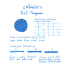 Noodler's Eel Turquoise Ink Bottle 3 oz