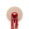 Sailor Sailor Professional Gear Slim Kimono Penna Stilografica Prosperity